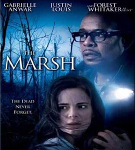 The Marsh