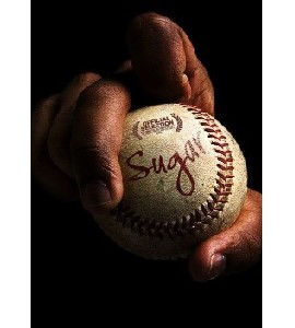 Sugar