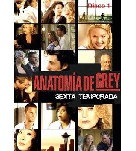 Grey´s Anatomy - Season 6 - Disc 1