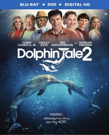 Blu-ray - Winter - El delfin 2