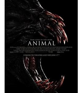 Animal