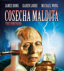 The Vineyard